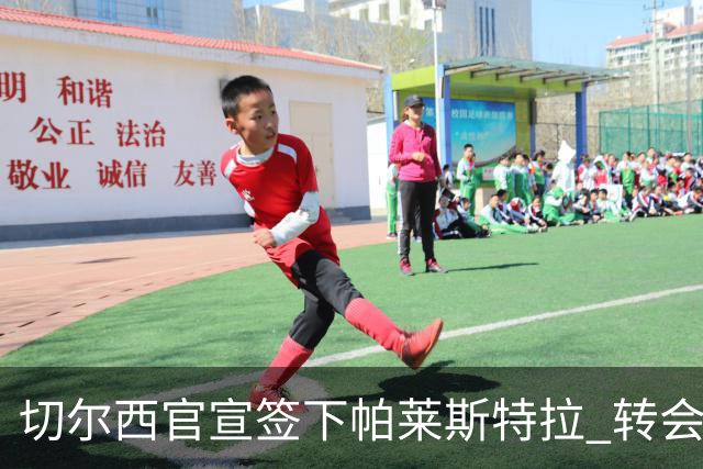 切尔西官宣签下帕莱斯特拉 转会费超5500万欧签约7年